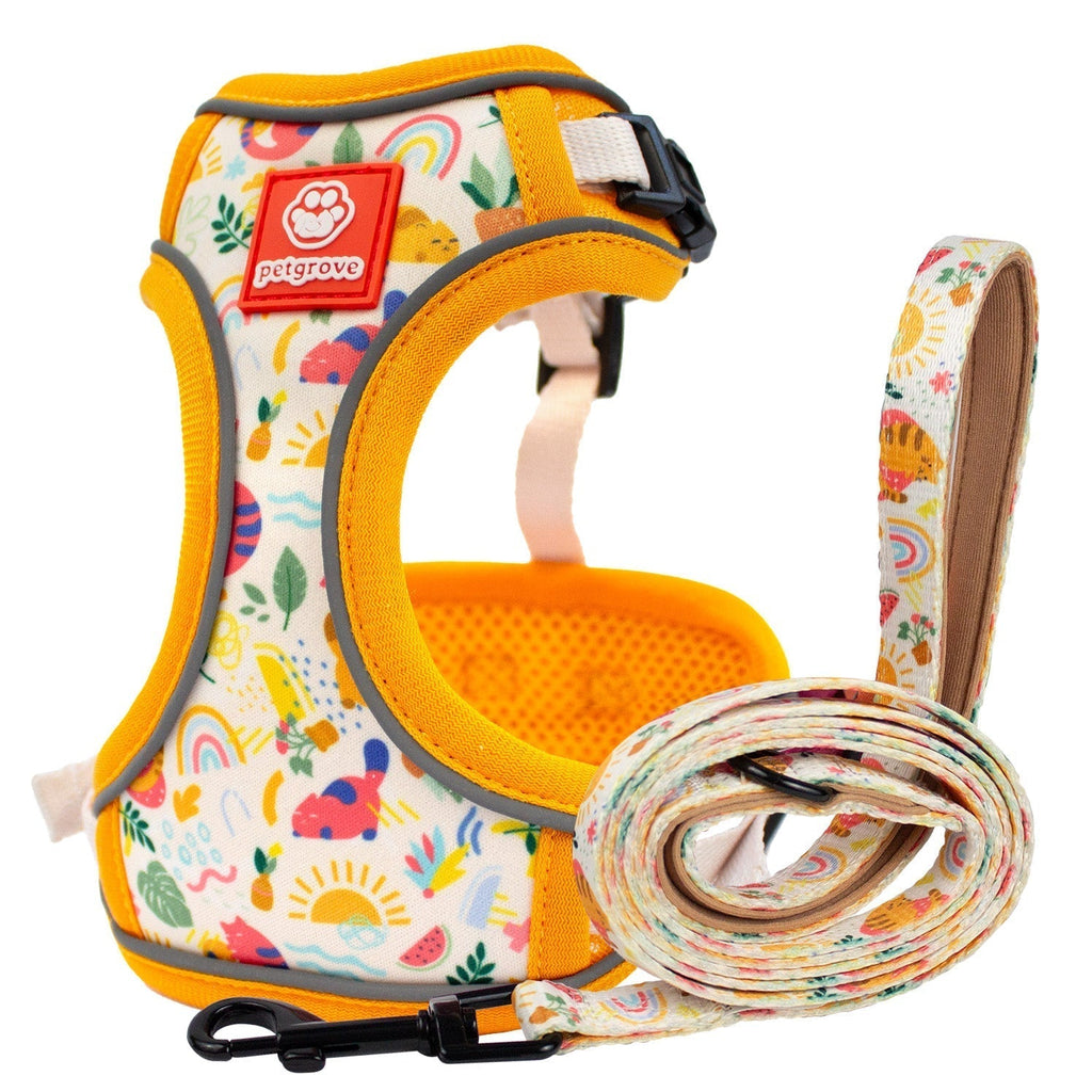 Cat Harness and Leash Set