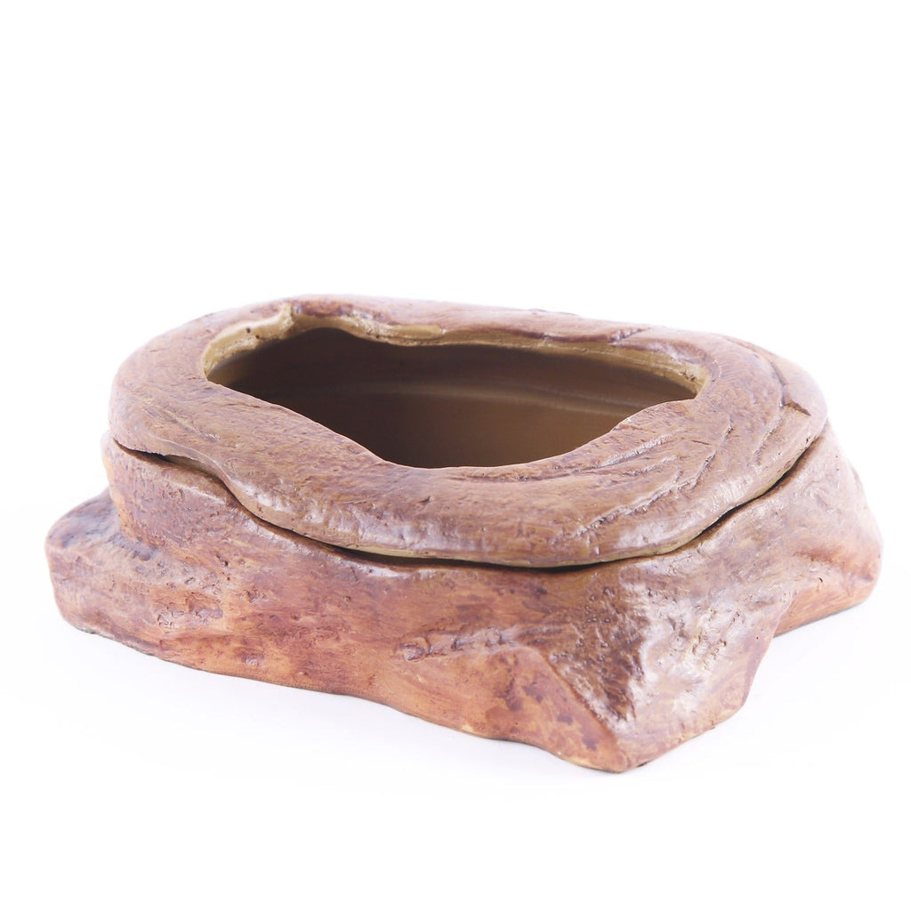 Water grass landscaping pet turtle food basin fish tank ornaments