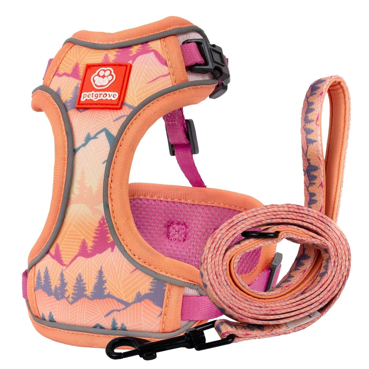 Cat Harness and Leash Set